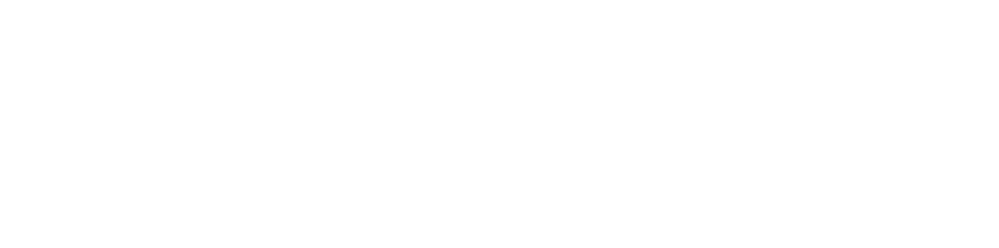 SSI_Logo_Final_white